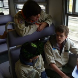 P1050833 - Scouts en Gidsen Zaventem 